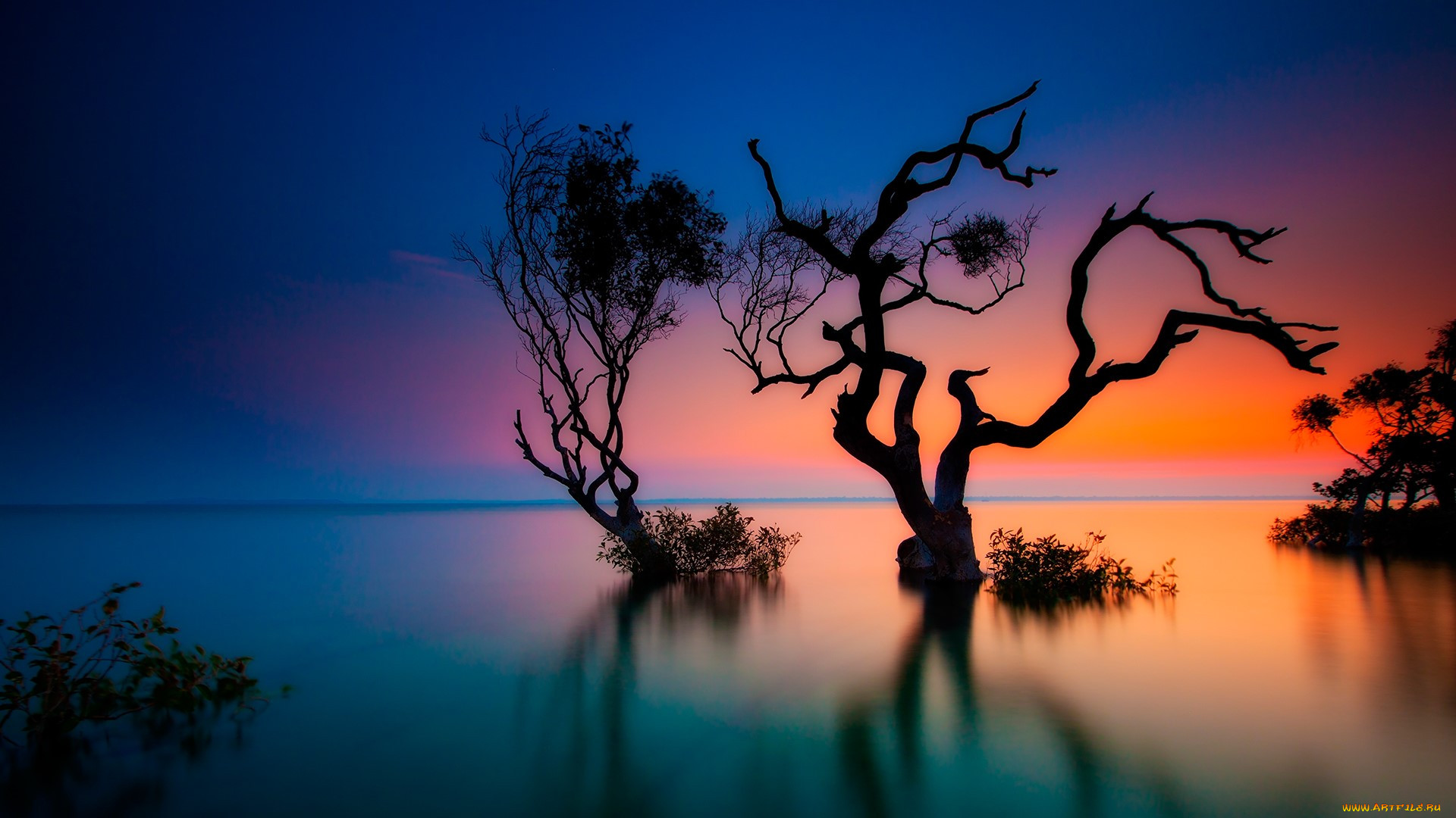 , , , , , , , , rainbow, beach, , 